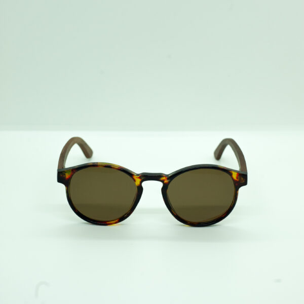 Vanwer PS001 Polarizados color A03-04