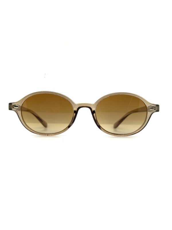 Vanwer PS050 Polarizado color A01