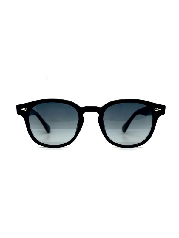 Vanwer PS230 Polarizado color A02-26