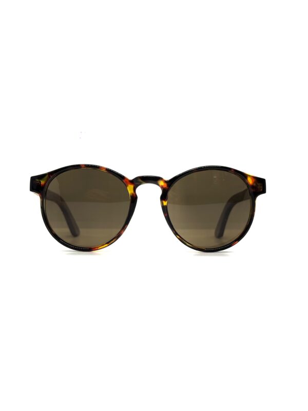Vanwer PS001 Polarizados color A03-04